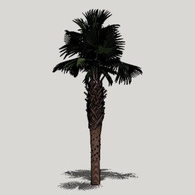 ���ֲ��_Enscape���ʲ�ͼ��ʦģ���������202204205544