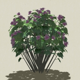 ����-Sketchup��ͼ��ʦEnscape����ģ��2022051120