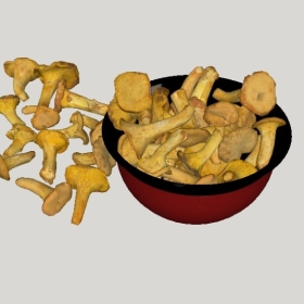 ʳ��_Sketchup��ͼ��ʦģ��Vray����202204251468