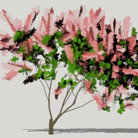 草图大师模型植物简模齐全2022年1239