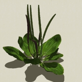 ��-Sketchup��ͼ��ʦEnscape����ģ��2022051192