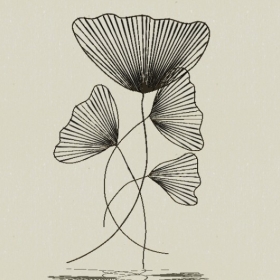 ǽ�ι���-Sketchup��ͼ��ʦEnscape����ģ��2022051117