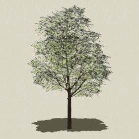 ��ľ-Sketchup��ͼ��ʦEnscape����ģ��20220511103