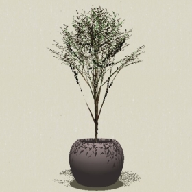 ����ֲ��-Sketchup��ͼ��ʦEnscape����ģ��20220511219