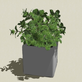 ����ֲ��-Sketchup��ͼ��ʦEnscape����ģ��20220511395