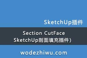Section CutFaceSketchUp