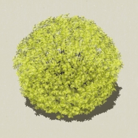 ��ľ-Sketchup��ͼ��ʦEnscape����ģ��2022051118