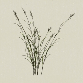 ��-Sketchup��ͼ��ʦEnscape����ģ��20220511120