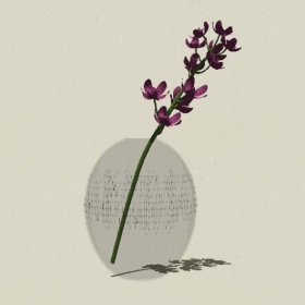 ����-Sketchup��ͼ��ʦEnscape����ģ��20220511158