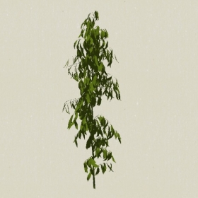 ��ľ-Sketchup��ͼ��ʦEnscape����ģ��2022051183