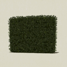 ��ľ-Sketchup��ͼ��ʦEnscape����ģ��2022051112