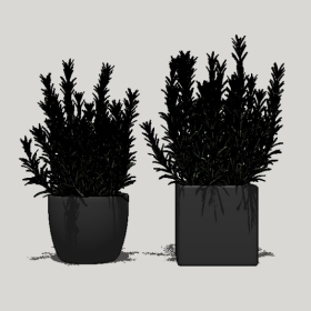 ����ֲ��_Sketchup��ͼ��ʦģ��Enscape����22020426510