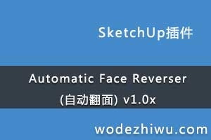 Automatic Face Reverser (Զ) v1.0x