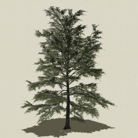 ��ľ-Sketchup��ͼ��ʦEnscape����ģ��2022051123