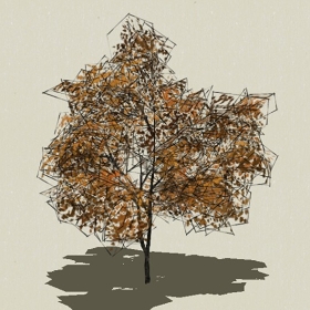 ��ľ-Sketchup��ͼ��ʦEnscape����ģ��20220511137