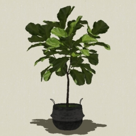 ����ֲ��-Sketchup��ͼ��ʦEnscape����ģ��20220511196