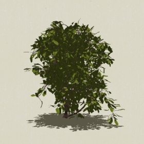 ��ľ-Sketchup��ͼ��ʦEnscape����ģ��20220511137