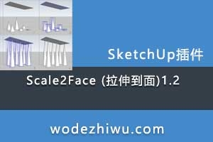 Scale2Face (쵽)1.2