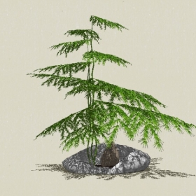 �辰ֲ��-Sketchup��ͼ��ʦEnscape����ģ��20220511119