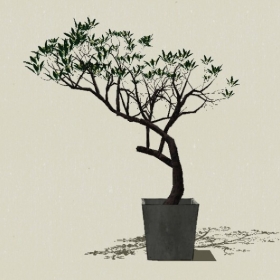 �辰ֲ��-Sketchup��ͼ��ʦEnscape����ģ��202205118