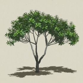 ��ľ��ľ-Sketchup��ͼ��ʦEnscape����ģ��2022051164