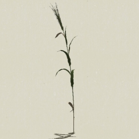 ��-Sketchup��ͼ��ʦEnscape����ģ��2022051170