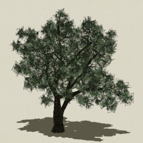 ��ľ-Sketchup��ͼ��ʦEnscape����ģ��20220511131