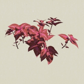 ��-Sketchup��ͼ��ʦEnscape����ģ��20220511114