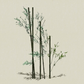 ����-Sketchup��ͼ��ʦEnscape����ģ��202205118