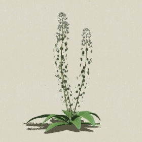 ����-Sketchup��ͼ��ʦEnscape����ģ��2022051122