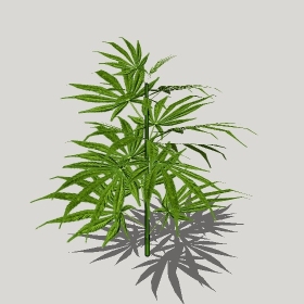 草图大师模型植物简模齐全2022年1276