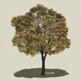 ��ľ-Sketchup��ͼ��ʦEnscape����ģ��2022051176