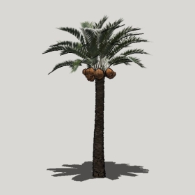 ���ֲ��_Enscape���ʲ�ͼ��ʦģ���������202204205588