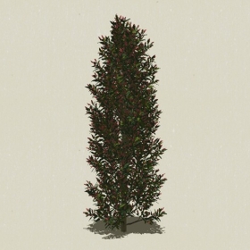 ��ľ-Sketchup��ͼ��ʦEnscape����ģ��202205113