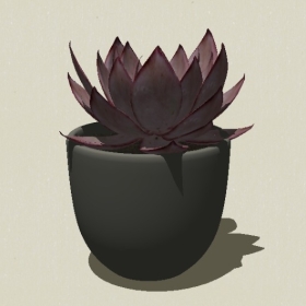 ����ֲ��-Sketchup��ͼ��ʦEnscape����ģ��202205114