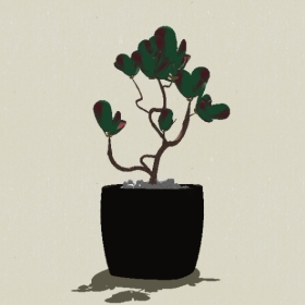 ����ֲ��-Sketchup��ͼ��ʦEnscape����ģ��20220511117