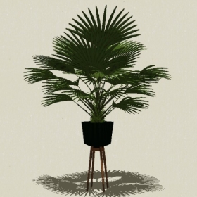 ����ֲ��-Sketchup��ͼ��ʦEnscape����ģ��2022051159