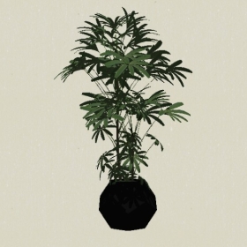 ����ֲ��-Sketchup��ͼ��ʦEnscape����ģ��2022051162