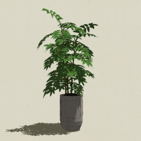 ����ֲ��-Sketchup��ͼ��ʦEnscape����ģ��20220511213