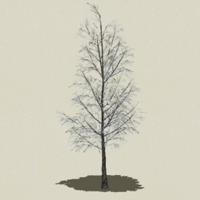 ��ľ-Sketchup��ͼ��ʦEnscape����ģ��2022051172