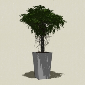 ����ֲ��-Sketchup��ͼ��ʦEnscape����ģ��20220511423