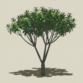 ��ľ��ľ-Sketchup��ͼ��ʦEnscape����ģ��2022051163