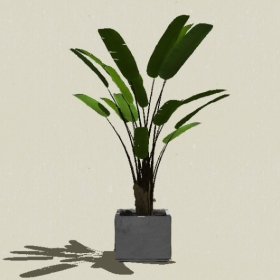 ����ֲ��-Sketchup��ͼ��ʦEnscape����ģ��20220511470