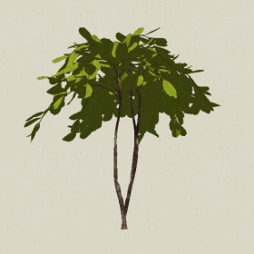 ��ľ-Sketchup��ͼ��ʦEnscape����ģ��2022051166