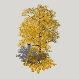 草图大师模型植物简模齐全2022年1266