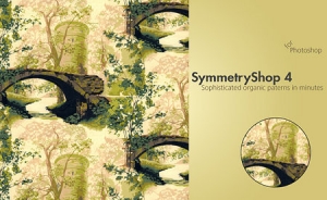 Artlandia SymmetryShop 4.20 绿化版 Mac PS 插件
