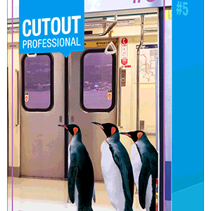 Franzis CutOut Professional for mac 5.0 – 专业级的抠图软件