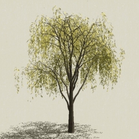 ��ľ-Sketchup��ͼ��ʦEnscape����ģ��20220511184