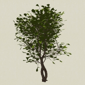 ��ľ-Sketchup��ͼ��ʦEnscape����ģ��2022051177