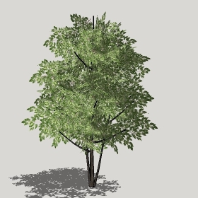 草图大师模型植物简模齐全2022年1271